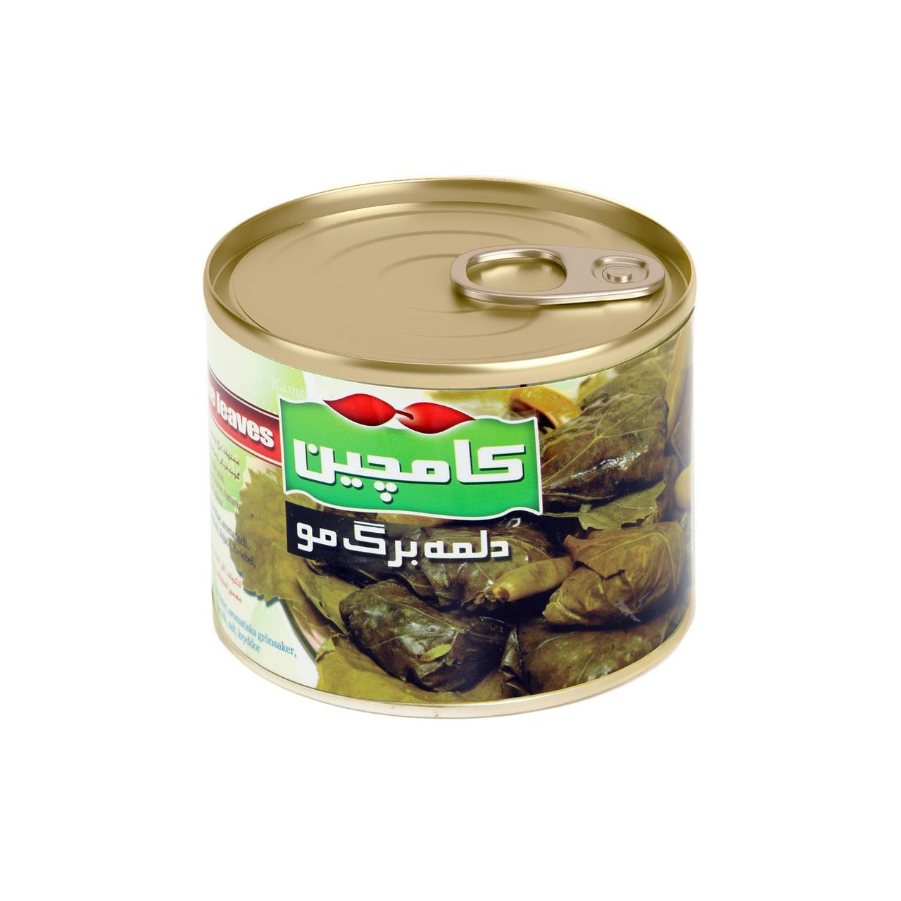 کنسرو دلمه کامچین